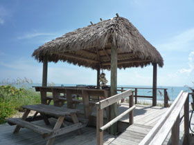 tikihutday